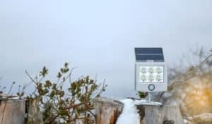 Can Solar Lights Stay Out in Winter